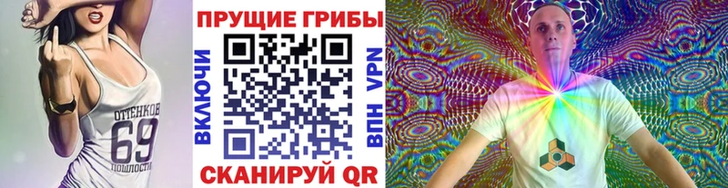 Галлюциногенные грибы прущие грибы  Устюжна 